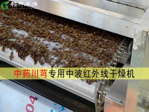中藥川芎，黃花菜專用中波紅外線干燥機(jī)